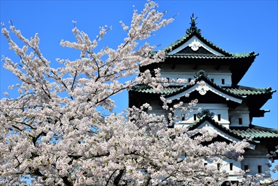 1058_弘前公園_青森