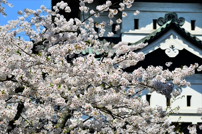 1059_弘前公園_青森