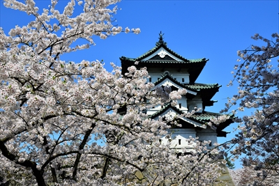 1060_弘前公園_青森