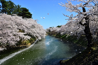 1068_弘前公園_青森