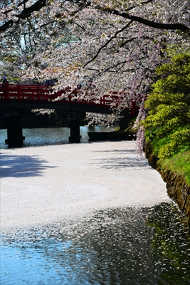 弘前公園_青森