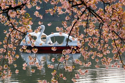 1305_芦野公園_青森