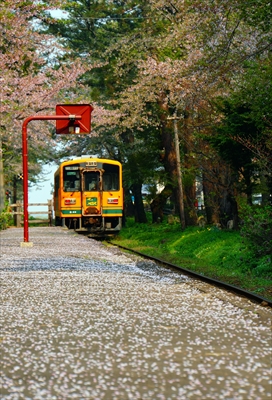 1306_芦野公園_青森