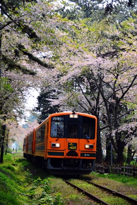 1311_芦野公園_青森