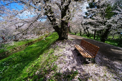 1103_弘前公園_青森