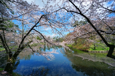 1104_弘前公園_青森