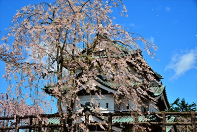 1107_弘前公園_青森