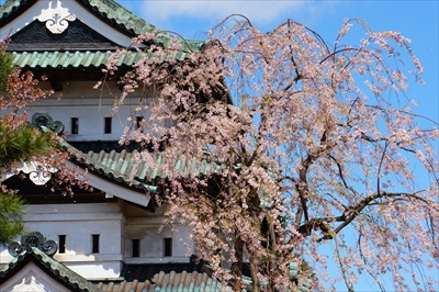 1108_弘前公園_青森