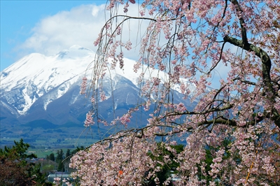 1112_弘前公園_青森