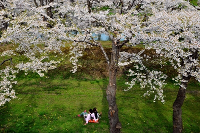 1065_函館五稜郭公園_北海道