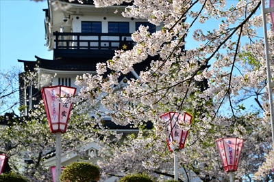 1021_横手城_秋田