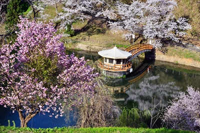 横手公園牛沼_秋田