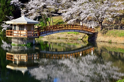 1007_横手公園牛沼_秋田