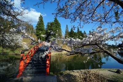 1008_横手公園牛沼_秋田