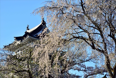 1025_横手城_秋田