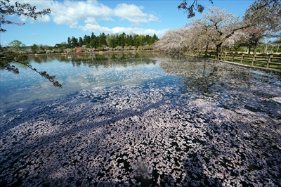 1049_猿賀公園_青森