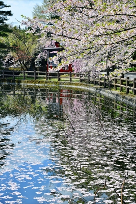 1038_猿賀公園_青森