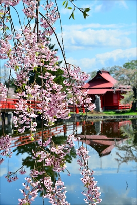 1041_猿賀公園_青森