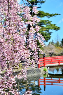 1042_猿賀公園_青森
