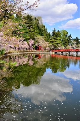 1043_猿賀公園_青森