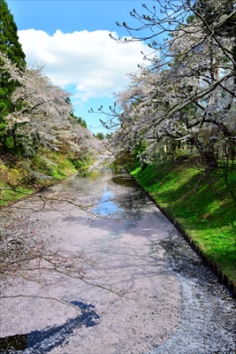 1122_弘前公園_青森
