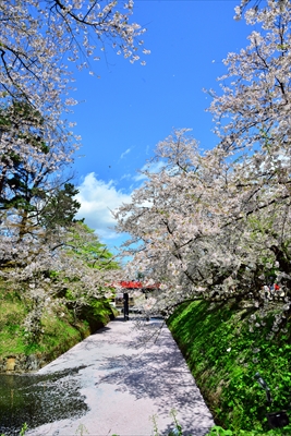 1125_弘前公園_青森