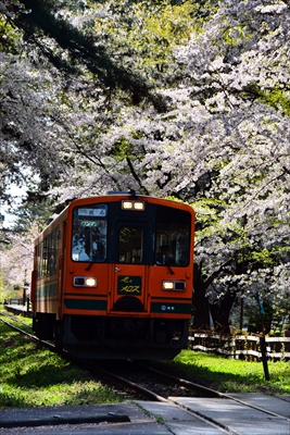 1317_芦野公園_青森