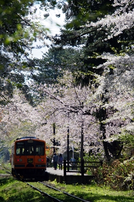 1324_芦野公園_青森
