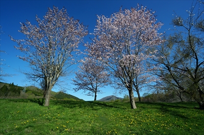 1058_上磯ダム公園_北海道