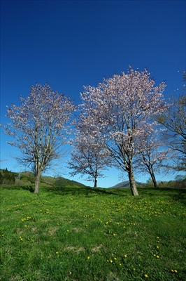 1059_上磯ダム公園_北海道