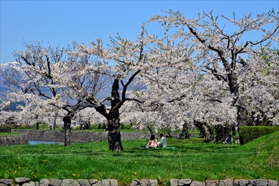 函館五稜郭公園_北海道