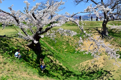 1081_函館五稜郭公園_北海道