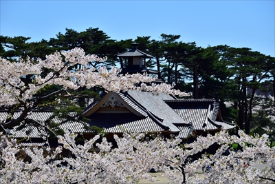1084_函館五稜郭公園_北海道