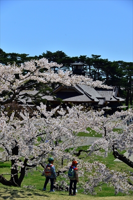 1086_函館五稜郭公園_北海道