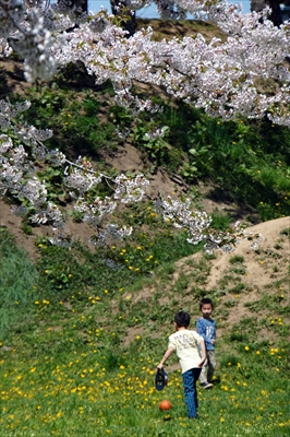 1090_函館五稜郭公園_北海道