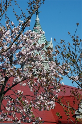 1093_函館五稜郭公園_北海道