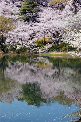 1024_三ッ池公園_神奈川