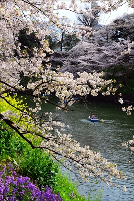 1097_千鳥ヶ淵_東京