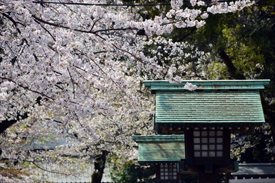 靖国神社_東京