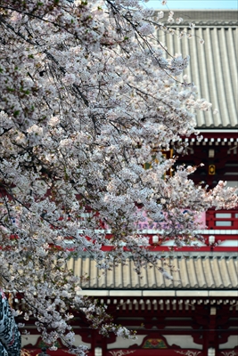 1061_浅草寺_東京