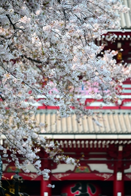 1062_浅草寺_東京