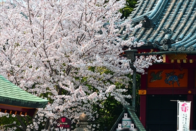 1063_浅草寺_東京