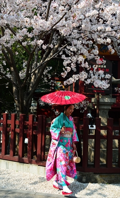 1065_浅草寺_東京