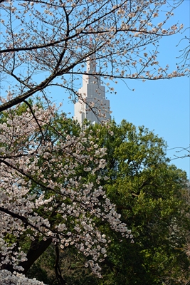 1121_新宿御苑_東京