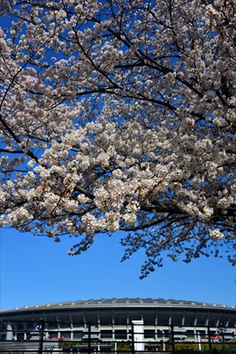 1083_新横浜公園_神奈川