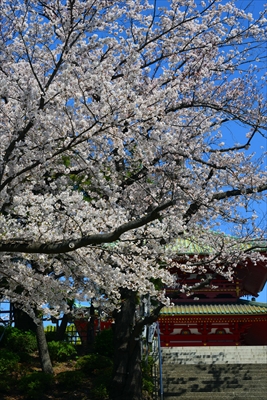 1102_孝道山_神奈川