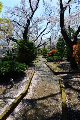 1106_孝道山_神奈川