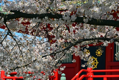 1111_孝道山_神奈川