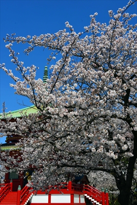 1112_孝道山_神奈川