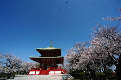 1117_孝道山_神奈川